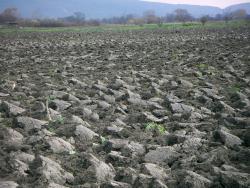 post-4489-0-67454400-1385553294_thumb.jp