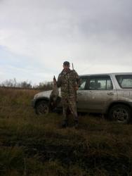 post-5279-0-30552500-1383844730_thumb.jp