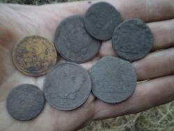 post-7121-0-32631000-1385726161_thumb.jp