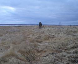 post-7121-0-70936000-1385726103_thumb.jp