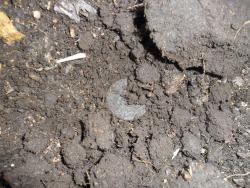 post-7929-0-30737300-1384961243_thumb.jp