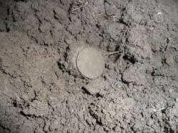 post-7929-0-49797400-1384960773_thumb.jp