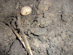 post-7929-0-50150900-1384961192_thumb.jp