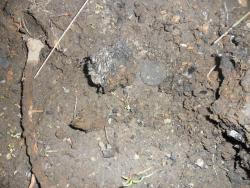 post-7929-0-74096800-1384960761_thumb.jp