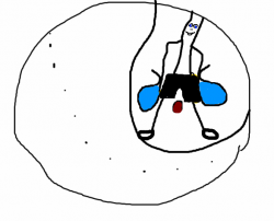 post-8666-0-15673100-1385356259_thumb.pn