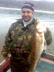 post-9320-0-25652200-1384745982_thumb.jp