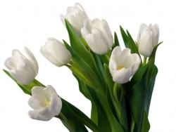 post-9320-0-93599500-1384281534_thumb.jp