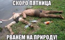 post-10547-0-44620600-1415014208_thumb.j