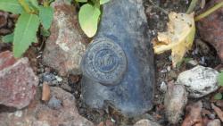 post-11080-0-00787000-1416859370_thumb.j