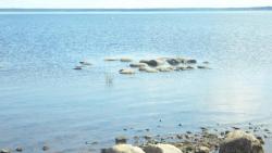 post-11080-0-02691700-1416858281_thumb.j