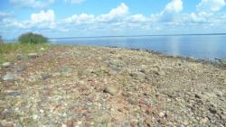 post-11080-0-12299300-1416858502_thumb.j