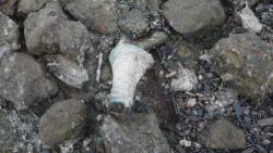 post-11080-0-13560500-1416858889_thumb.j