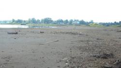 post-11080-0-26122600-1416858494_thumb.j