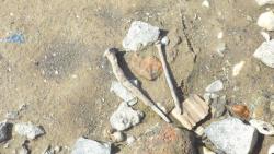 post-11080-0-27260400-1416858943_thumb.j