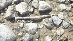 post-11080-0-29403300-1416858950_thumb.j