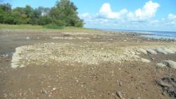 post-11080-0-30475600-1416857956_thumb.j