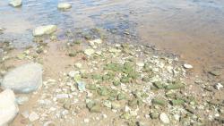 post-11080-0-31826500-1416858826_thumb.j