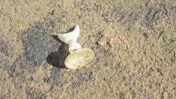 post-11080-0-35678200-1416857937_thumb.j