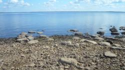 post-11080-0-37311900-1416858512_thumb.j