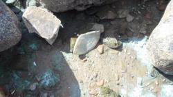 post-11080-0-41330200-1416858746_thumb.j