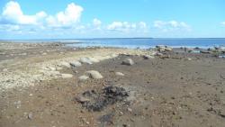 post-11080-0-49984100-1416858276_thumb.j