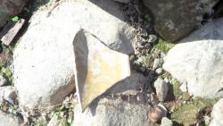 post-11080-0-51596700-1416859138_thumb.j