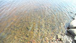 post-11080-0-51954000-1416858753_thumb.j