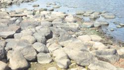 post-11080-0-53855000-1416858739_thumb.j