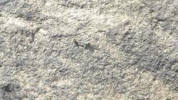 post-11080-0-58405500-1416858819_thumb.j