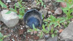 post-11080-0-65321200-1416859378_thumb.j