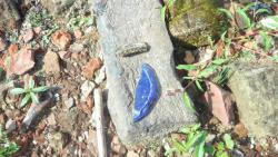 post-11080-0-65984100-1416858369_thumb.j