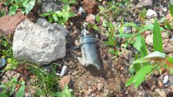 post-11080-0-70366500-1416859387_thumb.j