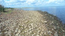 post-11080-0-71056600-1416858591_thumb.j