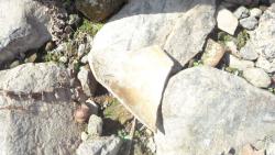 post-11080-0-75570900-1416859149_thumb.j