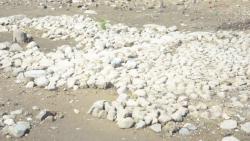 post-11080-0-83005500-1416858286_thumb.j