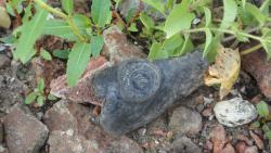 post-11080-0-84422000-1416859317_thumb.j