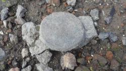 post-11080-0-89996600-1416858956_thumb.j