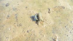 post-11080-0-94740100-1416859448_thumb.j