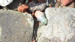 post-11080-0-97190800-1416858599_thumb.j