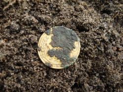 post-12373-0-26934000-1415439079_thumb.j