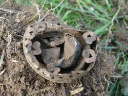 post-12373-0-77877200-1415438043_thumb.j