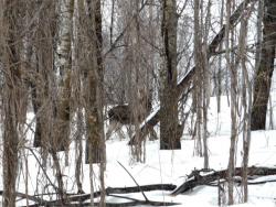 post-2401-0-04957600-1415470554_thumb.jp