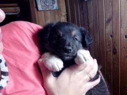 post-27434-0-82916500-1415615244_thumb.j