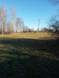 post-27784-0-31289500-1415088159_thumb.j