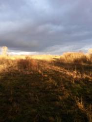 post-27784-0-34316400-1415523321_thumb.j