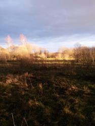 post-27784-0-45884500-1415523324_thumb.j