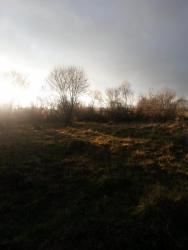 post-27784-0-63828400-1415523314_thumb.j