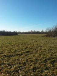 post-27784-0-69668300-1415088162_thumb.j