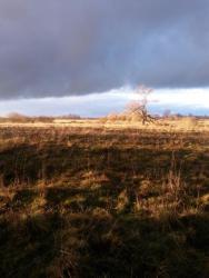 post-27784-0-94390900-1415523311_thumb.j