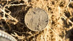 post-28025-0-32963800-1414914653_thumb.j